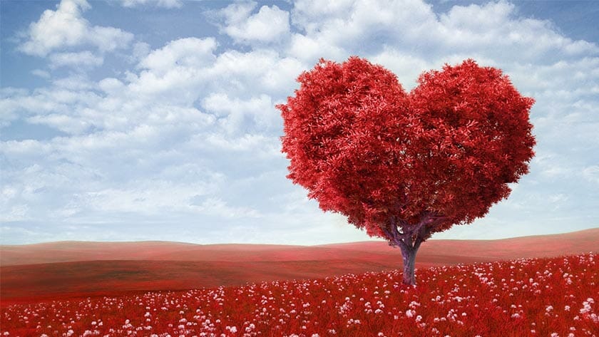 Valentine’s Day and Your Job Search, the 4 Things They Have In Common!